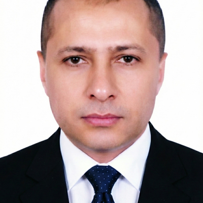 Prof. Hisham Eltaher