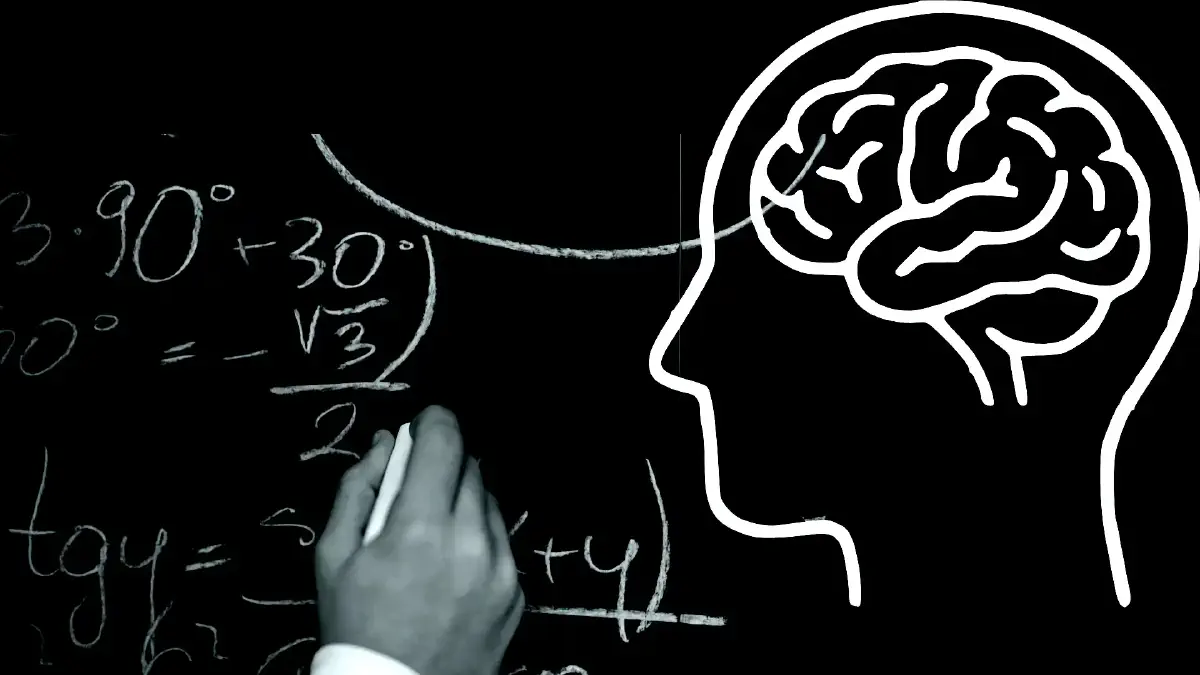 The Irreducible Problem: Modelling the Human Animal