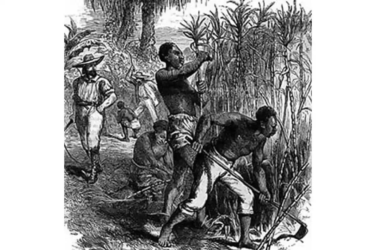 The Portuguese Colonial Empire - Part 2: The Machinery of Extraction - From Slaves to Sugar