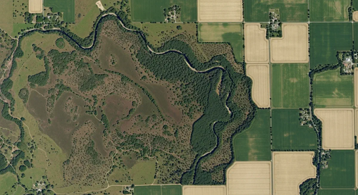 The Biodiversity Budget, Part 1: The Services You Never Invoiced For